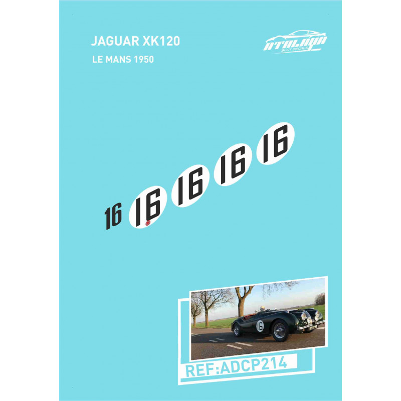 Jaguar XK120 Ecosse Silverstone