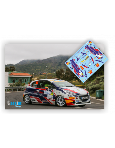 Peugeot 208 R2 Chema Reyes & Jose Antonio Barran Rallye Islas Canarias 2018